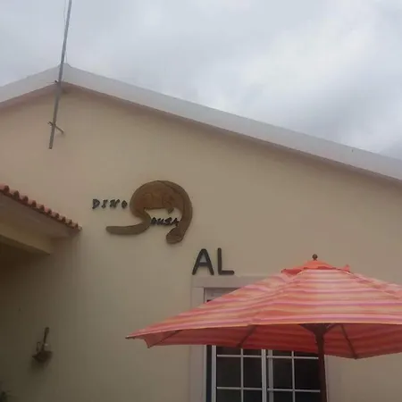 Dinosousa