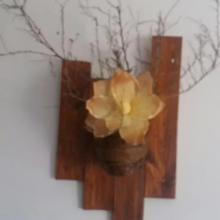 Bed & Breakfast Dinosousa *